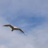 100828_60_heraldprovincialpark