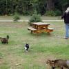 100829_116_dutchlake