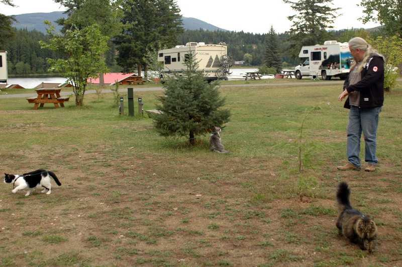 100829_117_dutchlake