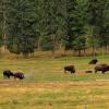 100830_018_clearwatervalley