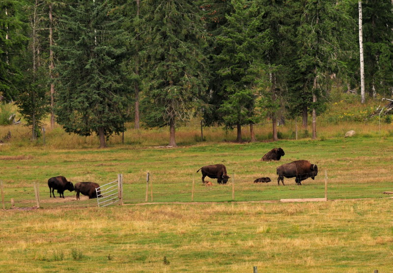 100830_018_clearwatervalley