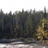 100830_053_wellsgray