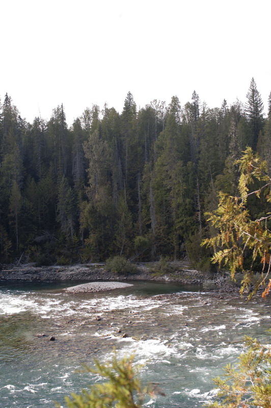 100830_053_wellsgray