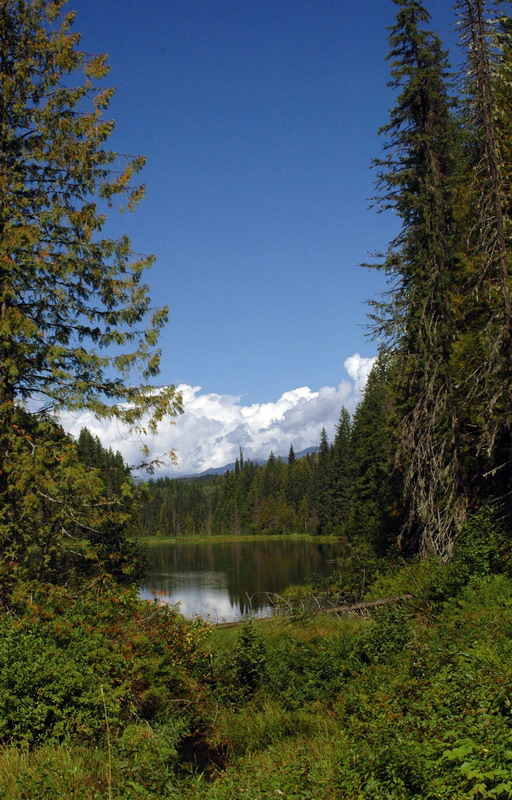 100830_065_wellsgray