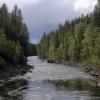 100830_069_wellsgray
