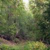100830_083_dutchlake
