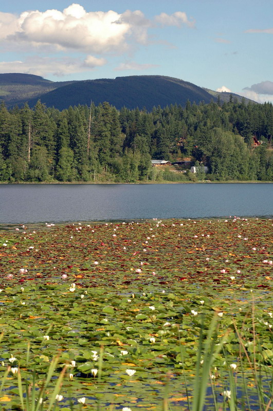 100830_099_dutchlake