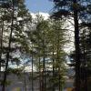 100901_08_fintry