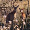 100902_004_fintry
