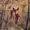 100902_008_fintry