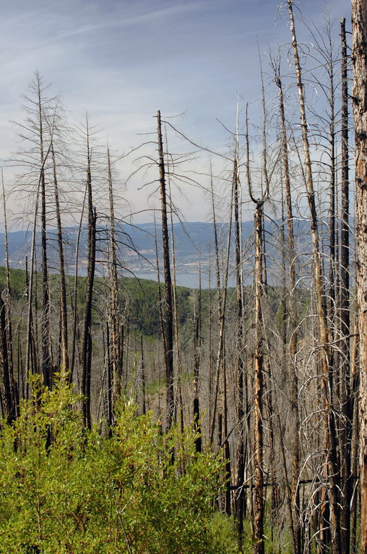 100902_045_kelowna_myracanyon