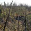 100902_049_kelowna_myracanyon