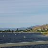 100902_097_kelownabridge