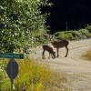100903_38_highway6