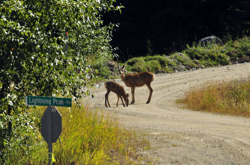 100903_38_highway6