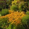 100904_16_nakusp