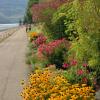 100904_20_nakusp