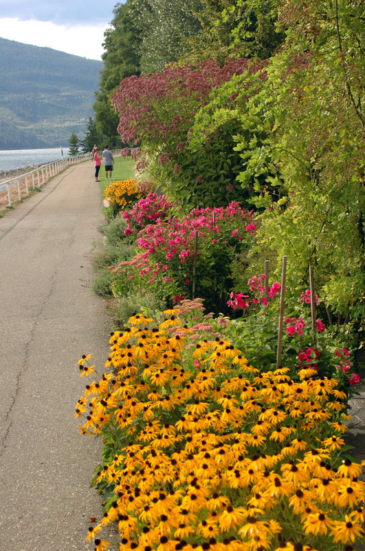 100904_20_nakusp