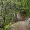 100905_003_nakusp