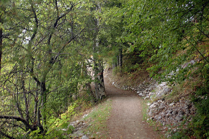 100905_003_nakusp
