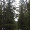 100905_019_nakusp