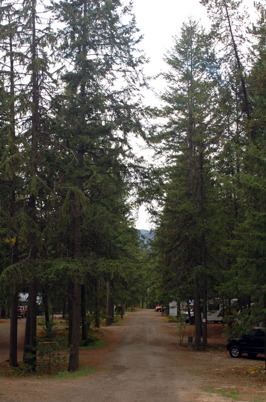 100905_019_nakusp