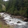100905_039_highway31a