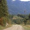 100905_131_creston