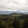 100905_132_creston