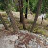 100905_139_creston_sophiamurray
