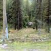 100905_145a_highway3_bearstatue
