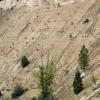 100906_32_kimberley