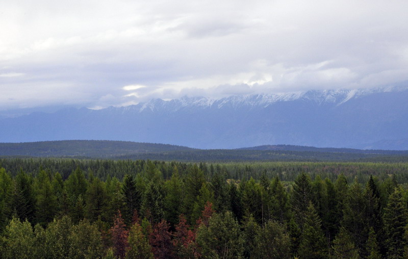 100906_70_kimberley