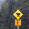 100907_09_highway3