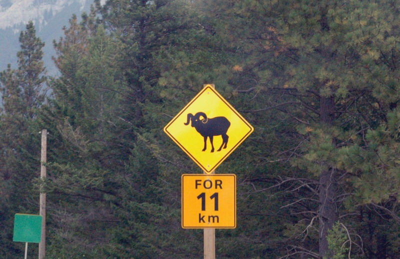100907_09_highway3