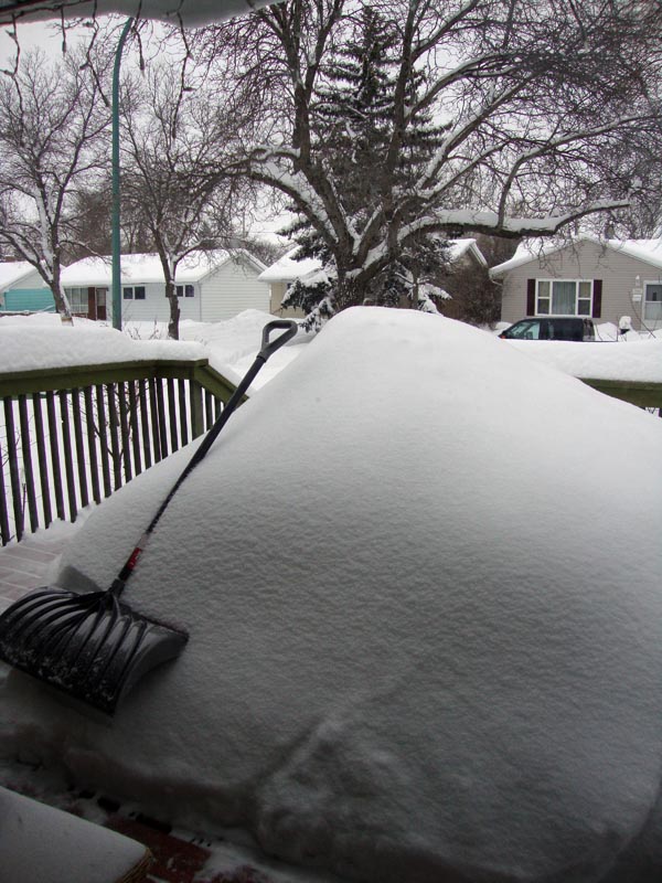 110116_01_snowinjanuary