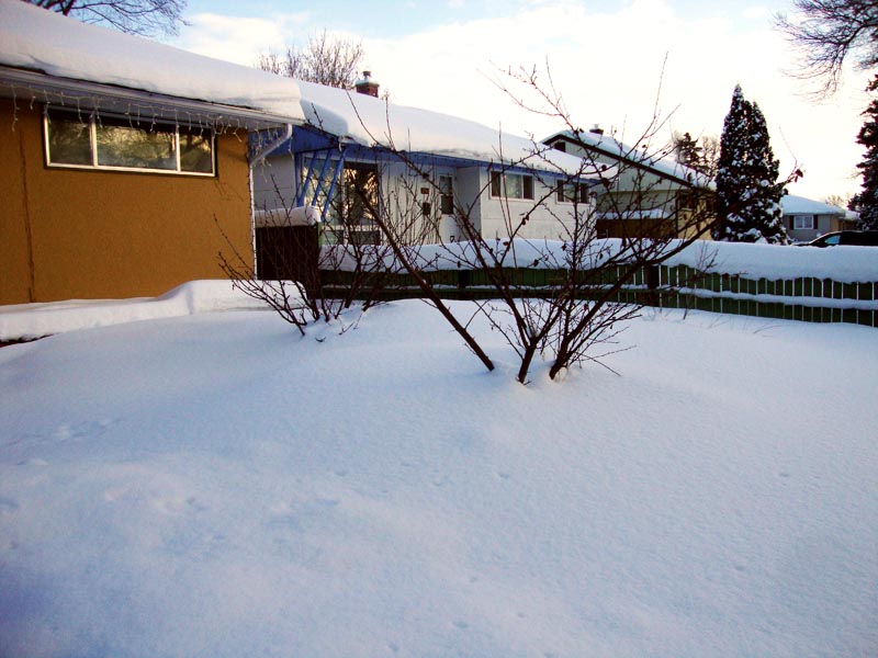 110118_04_snowinjanuary