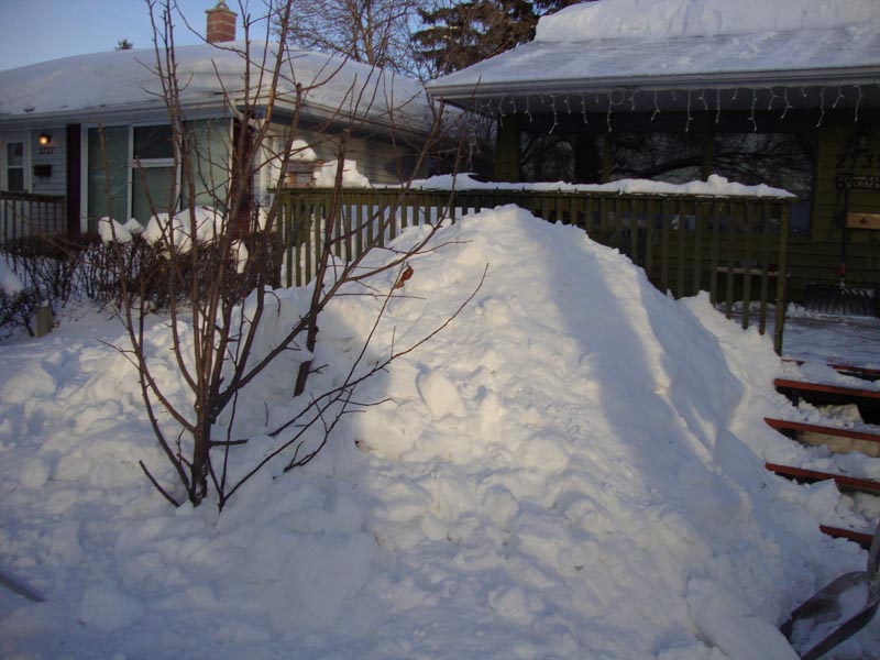 110124_10_snowinjanuary