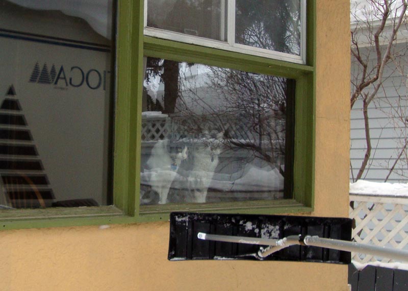110128_21_snowinjanuary