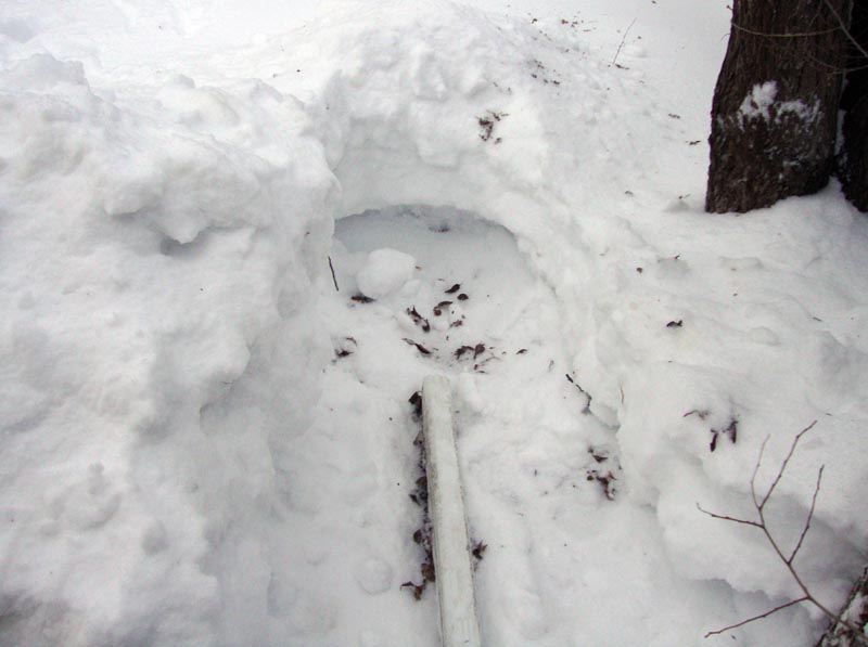 110128_29_snowinjanuary
