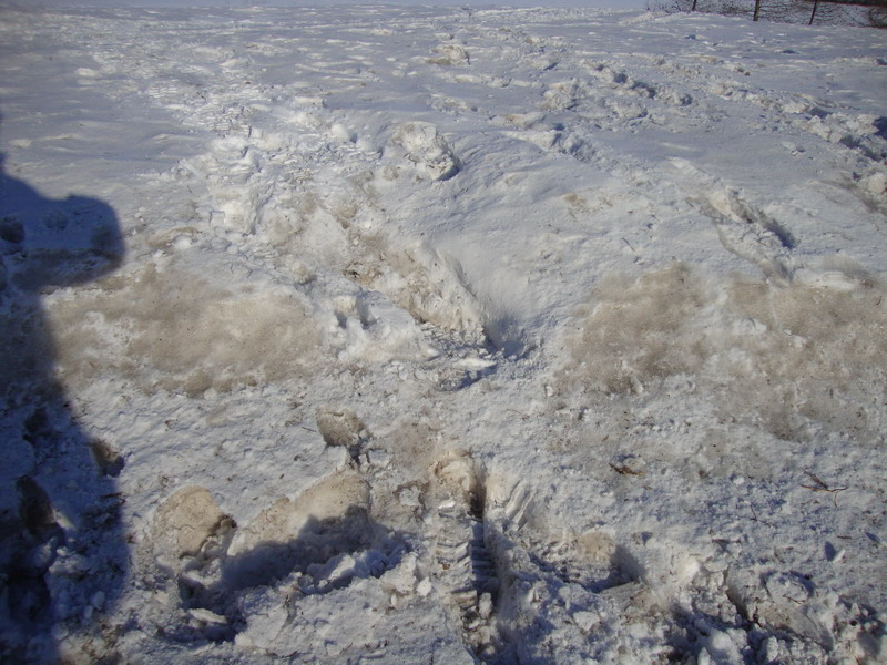 110227_09_wascana_lake