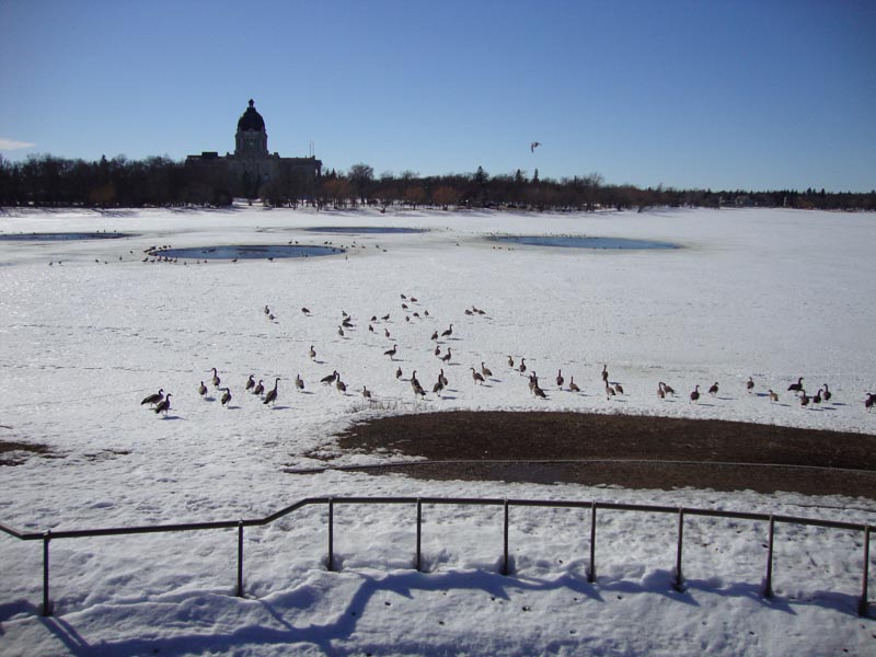 110331_01_wascanapark