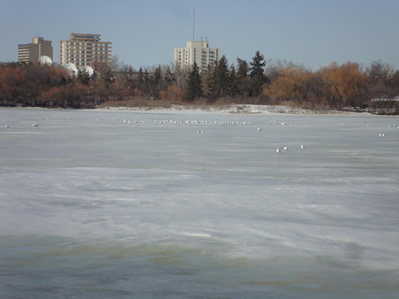 110405_03_wascanapark
