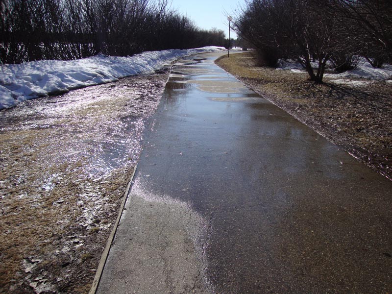 110407_10_wascanapark