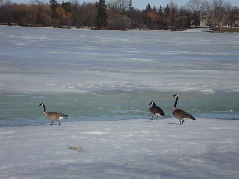 110407_15_wascanapark
