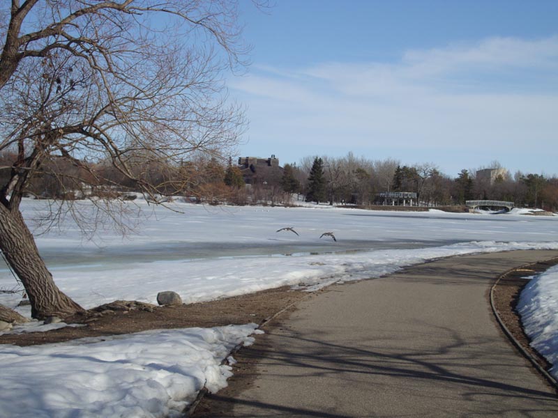 110407_16_wascanapark