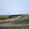 110521_13_craik