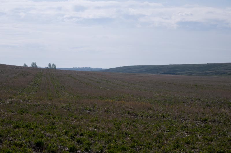 110522_01_craik