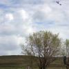 110522_09_craik