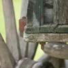 110522_33_craik